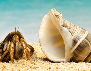 Is now a good time to upsize your family property?